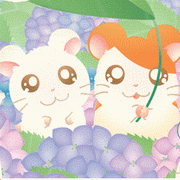 Hamtaro