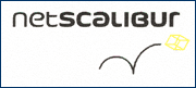 Netscalibur - logo