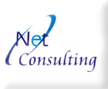 NetConsulting