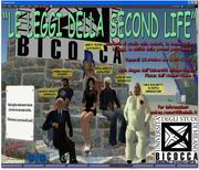 Le leggi della Second Life