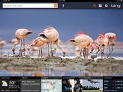 Bing for iPad