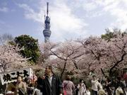 Tokyo Sky Tree