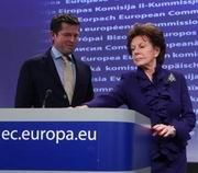 Neelie Kroes e Karl zu Guttenberg