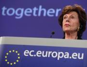 Neelie Kroes