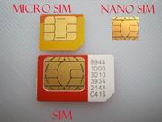 Nano-Sim