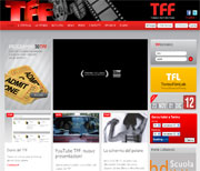 Torino Film Festival 30