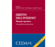 Diritto dell'Internet