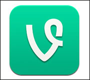 Vine