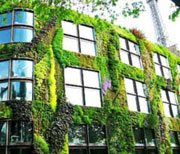 Smart City Green