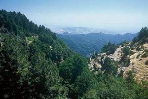 Aspromonte