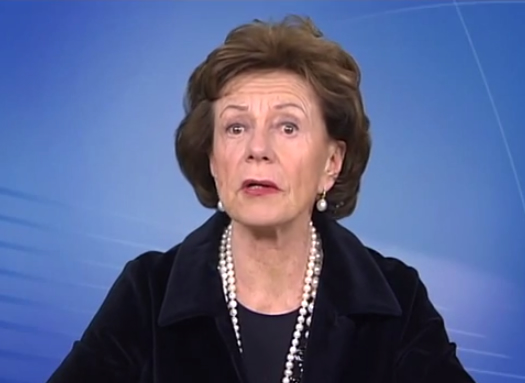 Neelie Kroes Keyvideo