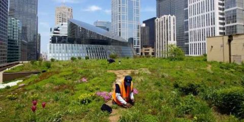 Smart city, a Milano giardini sui tetti per tagliare consumi e bolletta del 30%