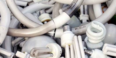 Ecolamp e Legambiente, concorso scolastico per il corretto smaltimento delle lampadine esauste