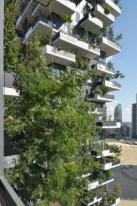 Bosco Verticale 2