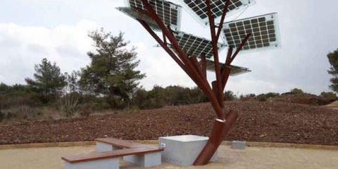 Etree, l’albero fotovoltaico che rilascia il Wi-Fi libero (videonews)