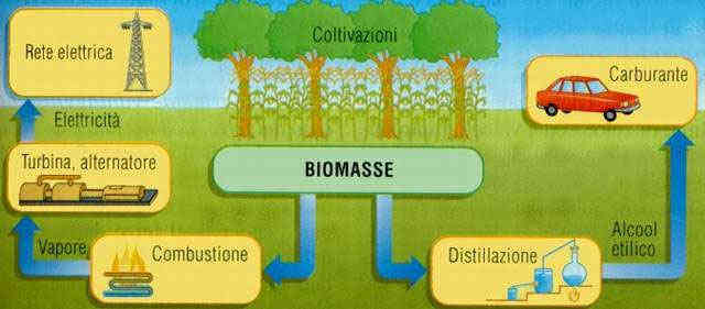 Biomasse