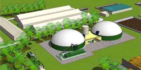 Biogas: dai residui delle stalle energia per 4.000 famiglie della bergamasca