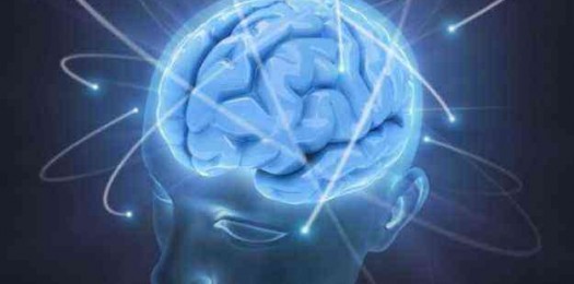 Neuroscienze