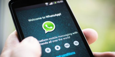 Whatsapp vola in Italia: è l’app di messaggistica più usata