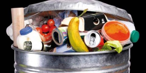 Giornata contro gli sprechi alimentari: 4 italiani su 5 favorevoli al frigorifero ‘smart’