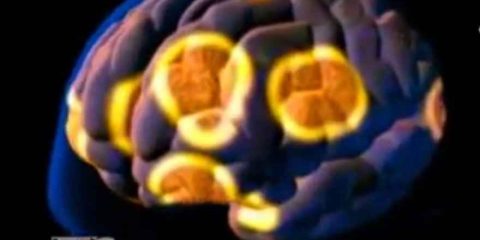 Business Planet. Fare ricerca neurologica e creare occupazione. Il caso della tedesca Neuroproof (video)