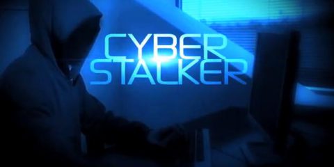 Digital Crime. Nella rete del cyberstalker: quando le norme non bastano