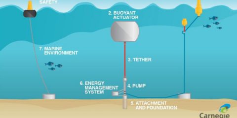 L’energia del mare: in Australia la prima centrale che sfrutta le onde (Video)