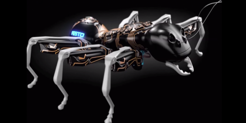 Formiche robot: il futuro della catena di montaggio? (video)