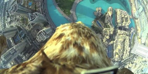 L’occhio dell’aquila sopra Dubai (video)
