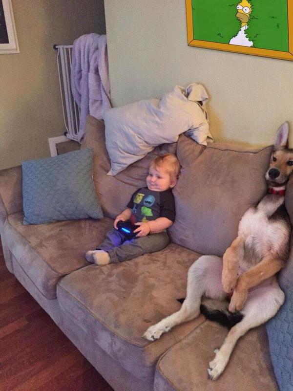 convivenza bimbo e cane sul divano