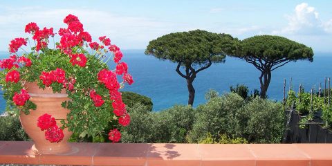 Il Giardino di Vigliano