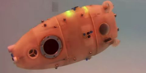 Robot-pesci per operazioni di ricerca e salvataggio (video)