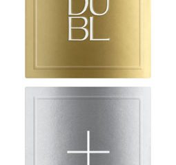 Dubl + 2011