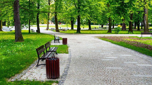 Verde urbano