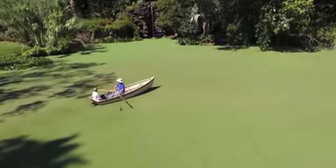 Video Droni. Australia: Rippon Lea House, la villa e il parco visti dal drone