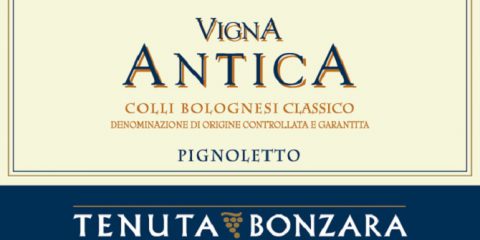 Colli Bolognesi Classico Pignoletto Vigna Antica 2013