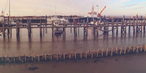 Video Droni. L’isola di Amrum (isole Frisone settentrionali, Mar del Nord) a volo di drone