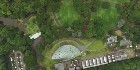 Video Droni. La Baia di Tokyo e il Tokyo Park visti dal drone