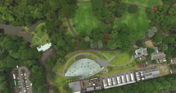 La Baia di Tokyo e il Tokyo Park visti dal drone