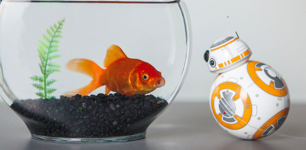 BB-8