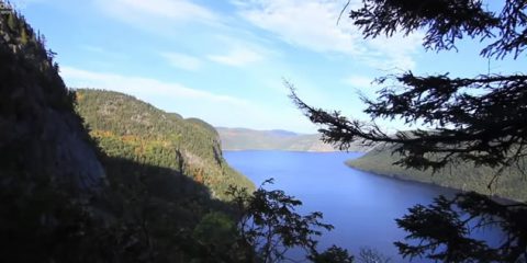 Video Droni. Estate in Quebec, tra boschi e laghi, natura e città, con gli occhi del drone