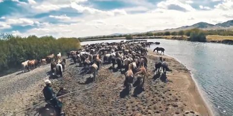 Video Droni. La campagna mongola tra cavalli e cavalieri, vista dal drone