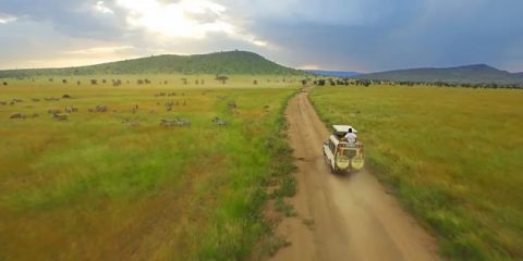 Video droni. Tanzania: le bellezze del Serengeti viste dal drone
