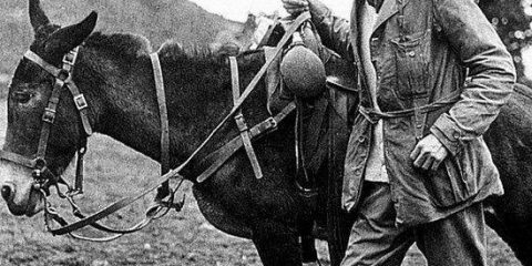 Hiram Bingham, l’esploratore americano scopritore del Machu Picchu (luglio 1911) e ispiratore del personaggio di Indiana Jones