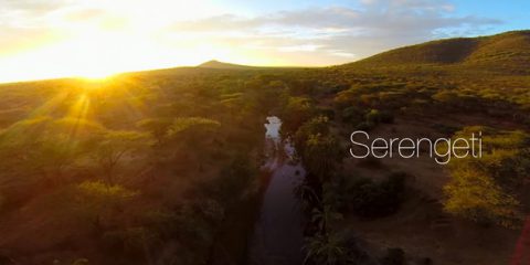 Video Droni. La Mia Africa: il Serengeti visto dal drone