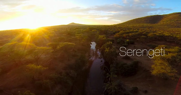 La Mia Africa: il Serengeti visto dal drone