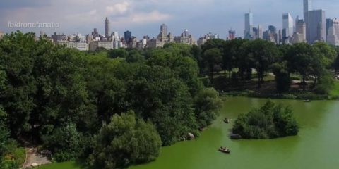 Video Droni. Passeggiata d’amore al Central Park (New York) ripresa dal drone