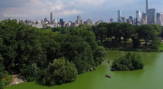 Passeggiata d’amore al Central Park (New York) ripresa dal drone