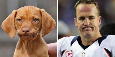 Indovina chi è: Uno dei due è il campione di football Peyton Manning…