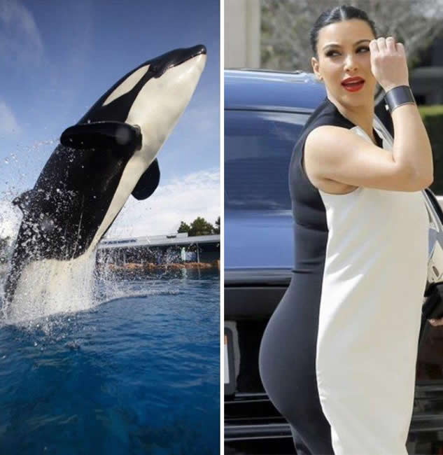 Qual è Kim Kardashian?